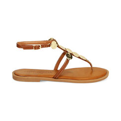 Sandalias planas marrones, Primadonna, 234922021EPMARR035, 001 preview