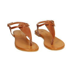 Sandalias planas marrones, Primadonna, 234992895EPMARR036, 002 preview