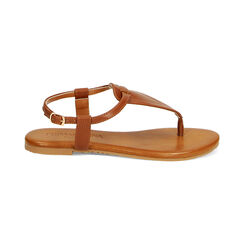 Sandalias planas marrones, Primadonna, 234992895EPMARR036, 001 preview